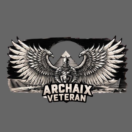 Archaix Veteran Men's V-neck T-Shirt