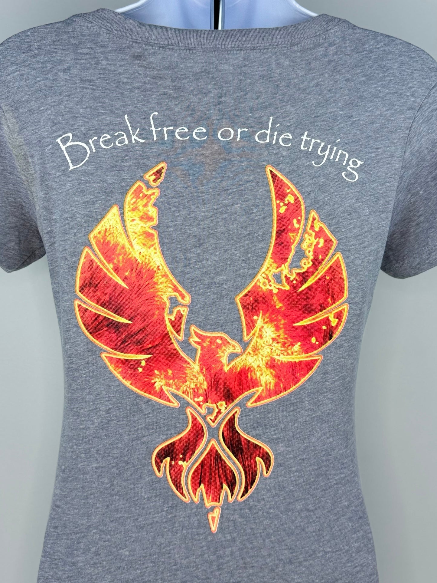 Original Women's V-Neck T-Shirt