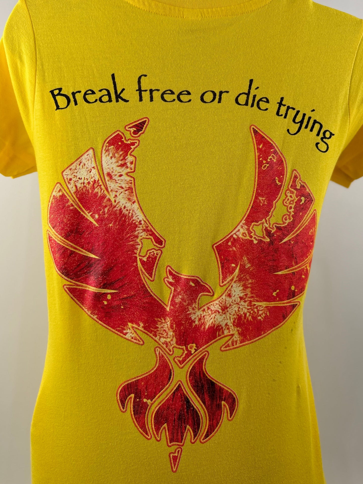 Original Women's V-Neck T-Shirt