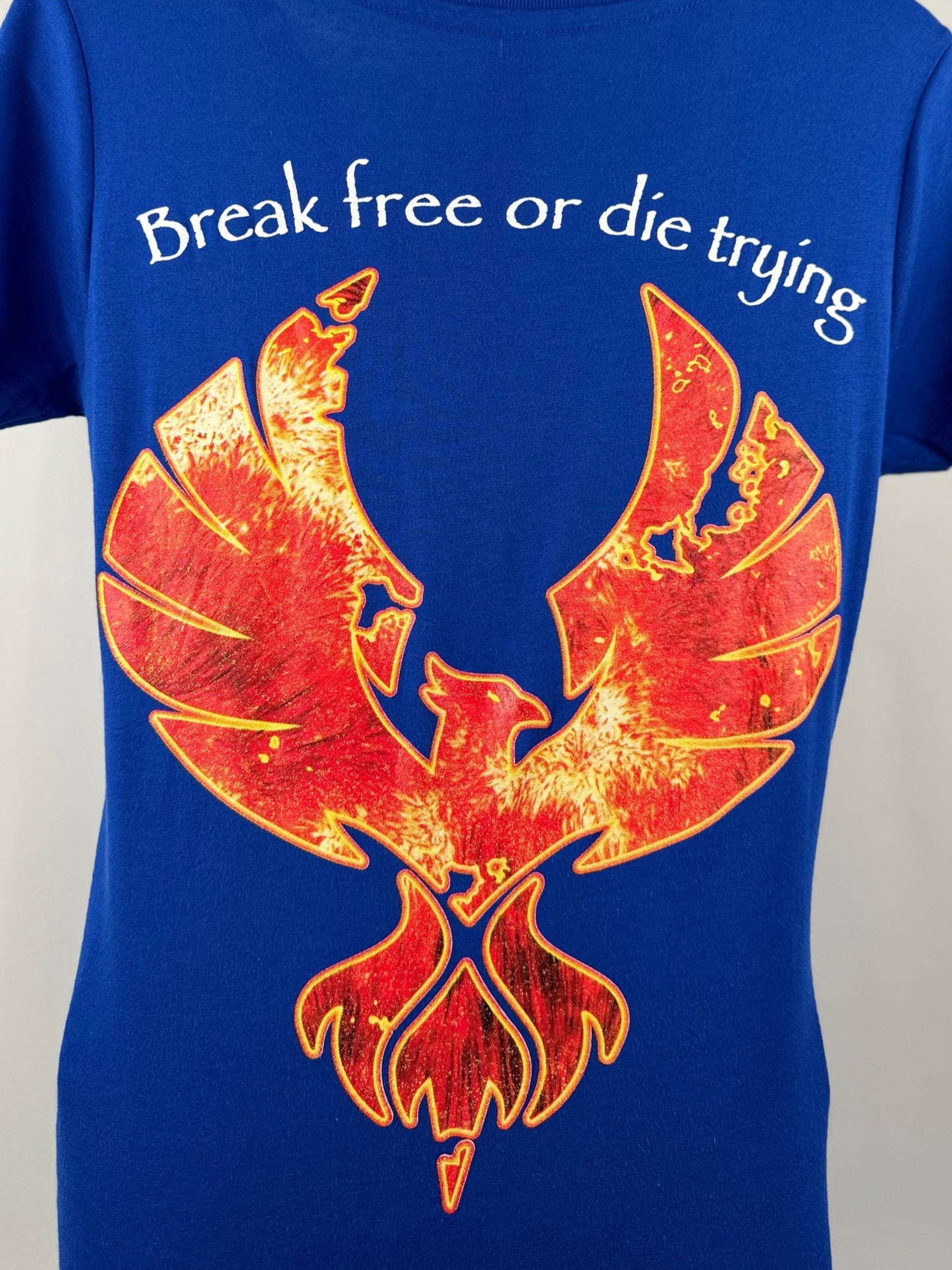 Original Women's V-Neck T-Shirt