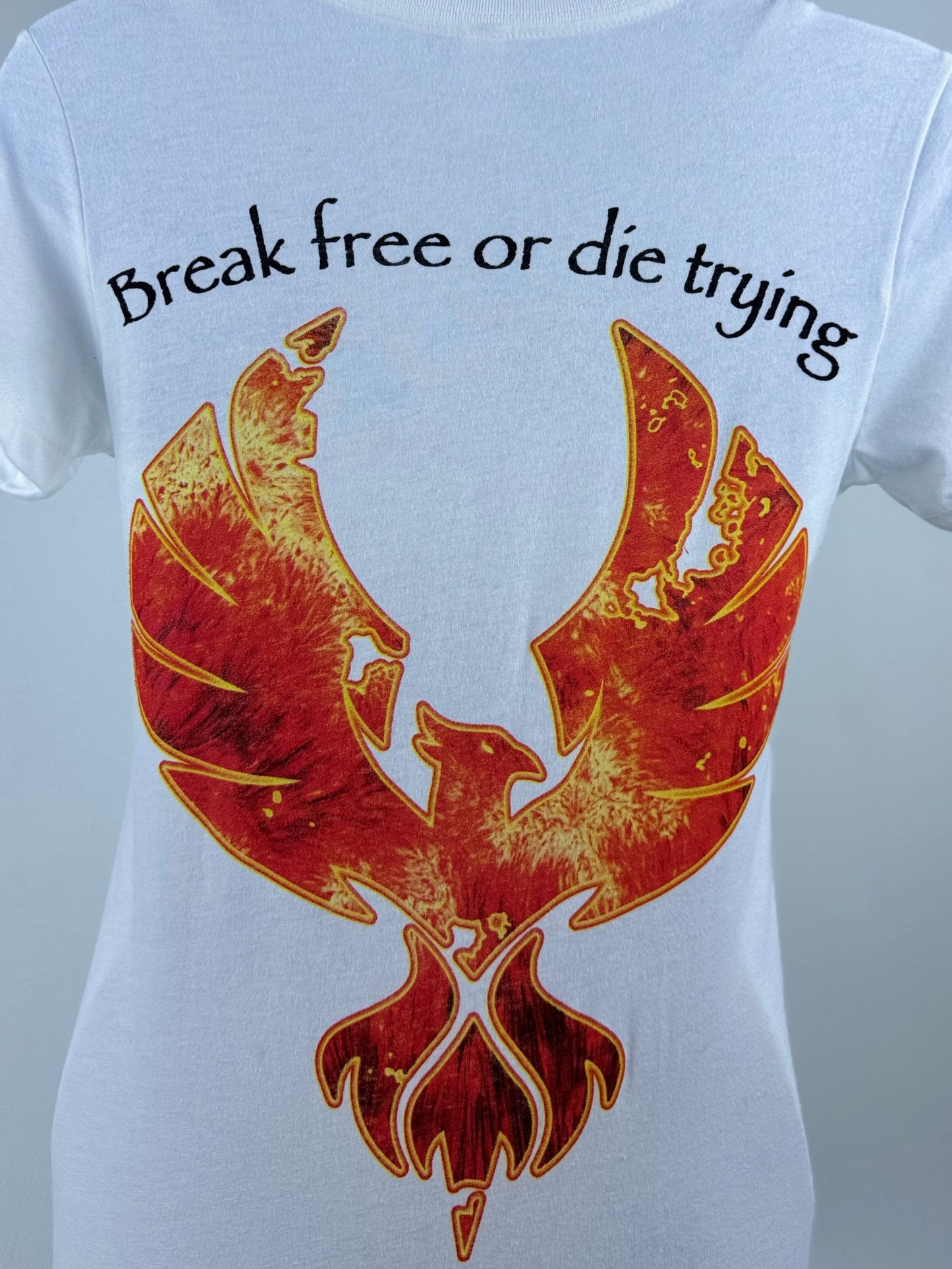 Original Women's V-Neck T-Shirt