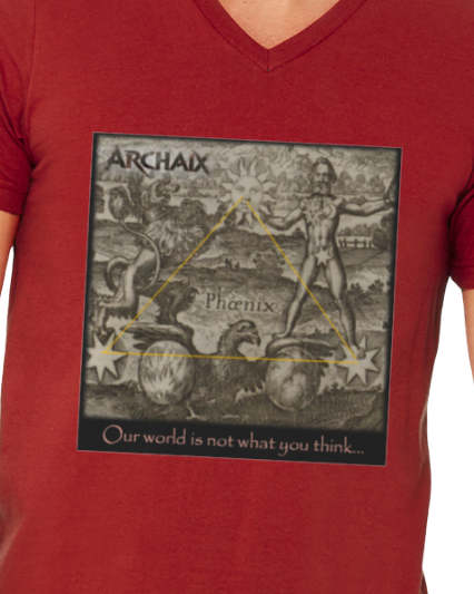 Our World Men's V-Neck T-Shirt