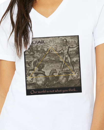 Our World Women's V-Neck T-Shirt