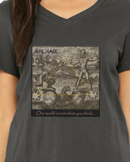 Our World Women's V-Neck T-Shirt