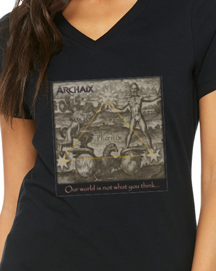 Our World Women's V-Neck T-Shirt