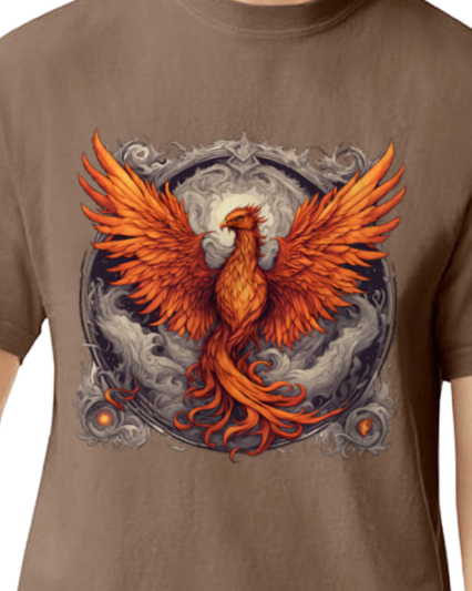 Bordered Phoenix Vintage T-Shirt