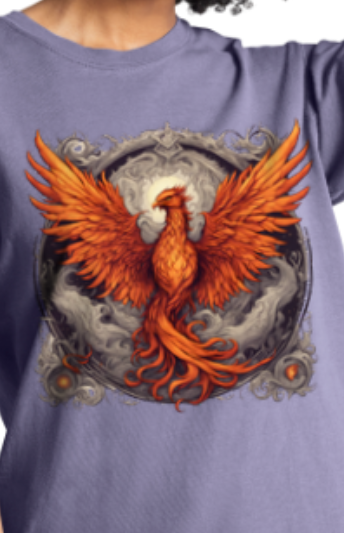 Bordered Phoenix Vintage T-Shirt