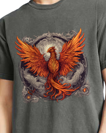 Bordered Phoenix Vintage T-Shirt