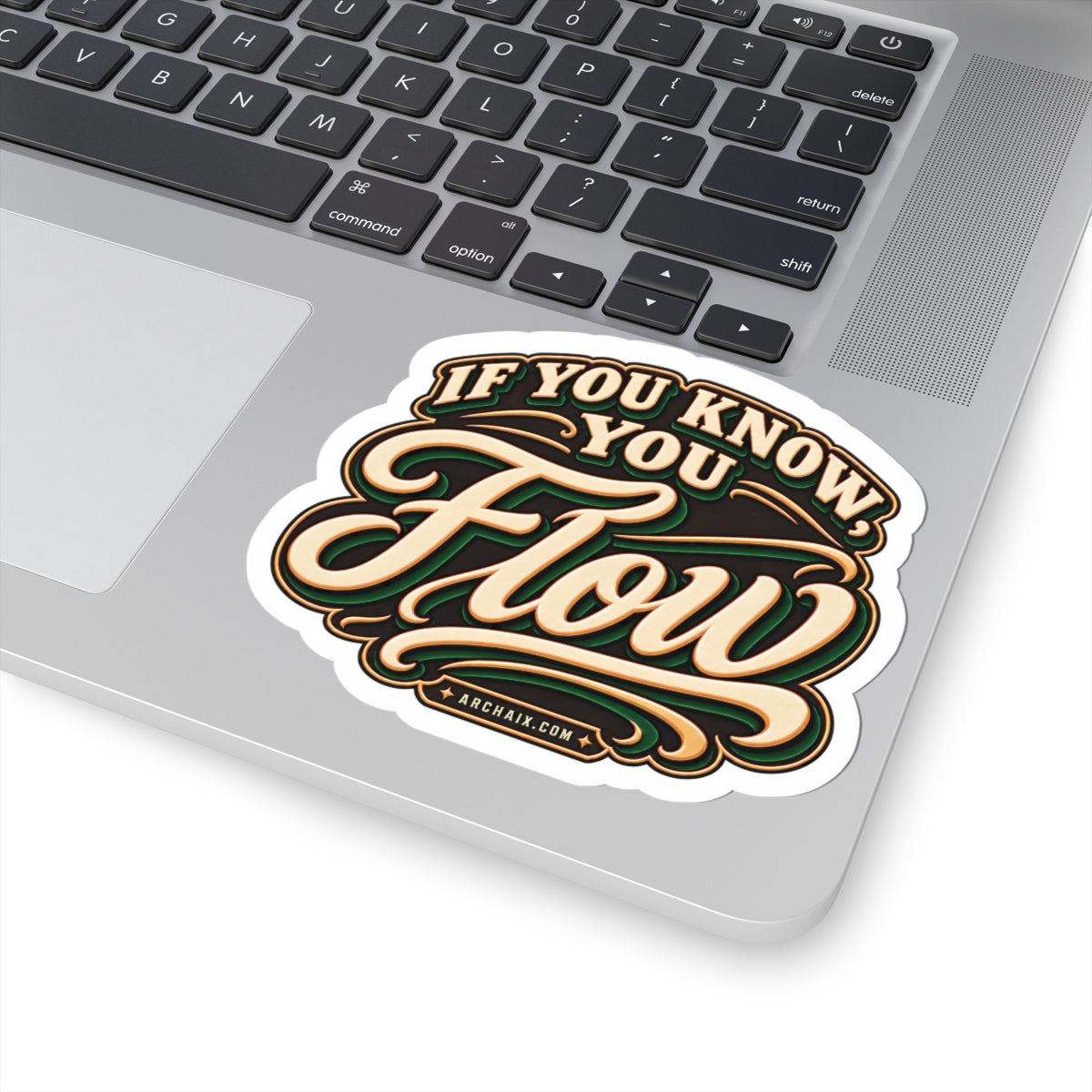 If You Know You Flow ARCHAIX sticker — additional product view