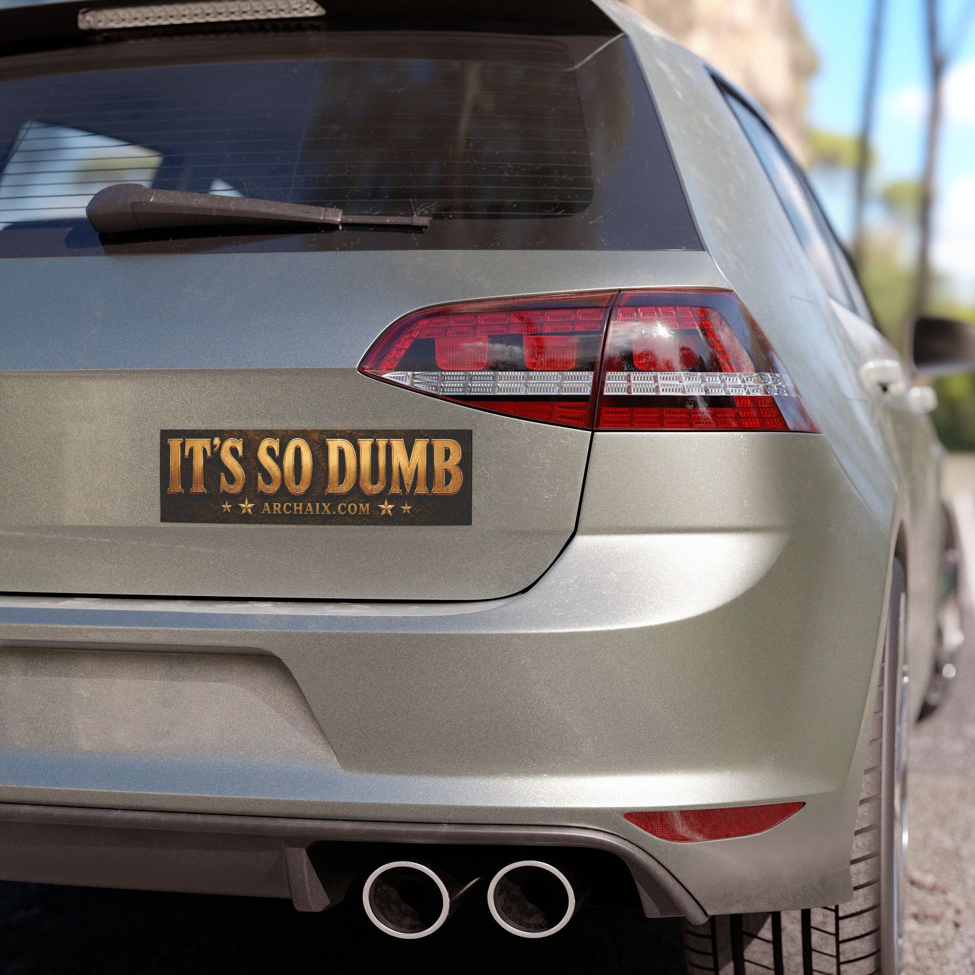 It’s So Dumb vintage Western 10 × 3 car magnet