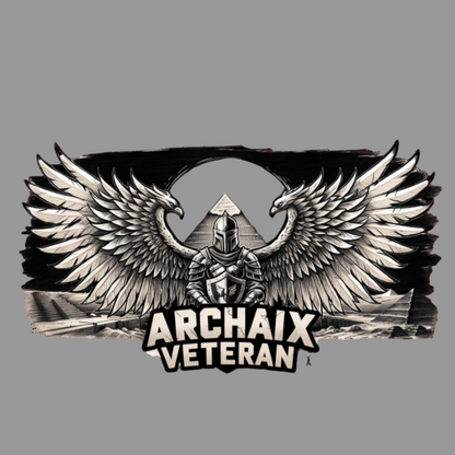 Archaix Veteran Vintage T-Shirt