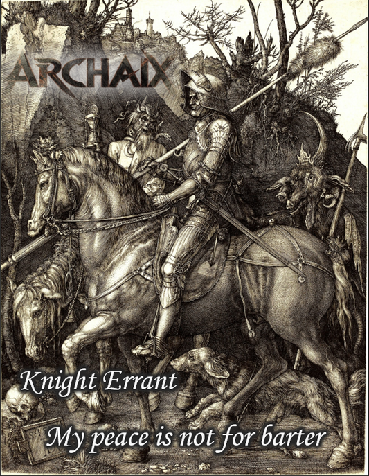 Knight Errant Long Sleeve T-Shirt