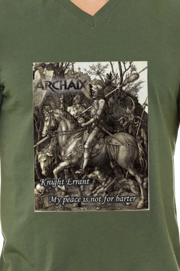Knight Errant Men's V-Neck T-Shirt