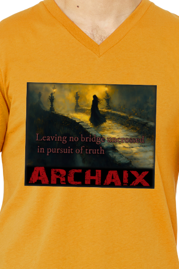 Leaving no...Men's V-Neck T-Shirt