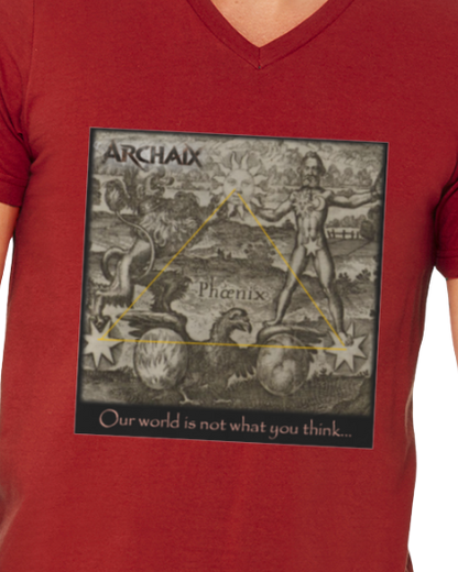 Our World Men's V-Neck T-Shirt