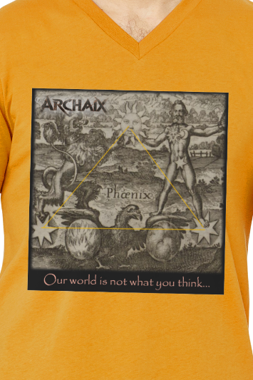 Our World Men's V-Neck T-Shirt