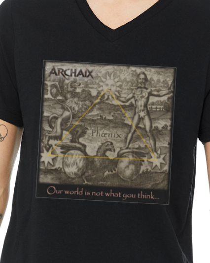 Our World Men's V-Neck T-Shirt