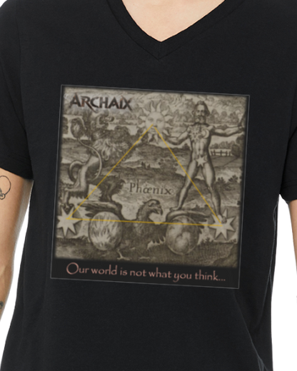 Our World Men's V-Neck T-Shirt