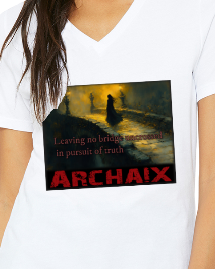 Leaving No Bridge Women's V-Neck T-Shirt