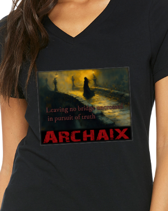 Leaving No Bridge Women's V-Neck T-Shirt