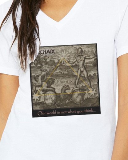 Our World Women's V-Neck T-Shirt