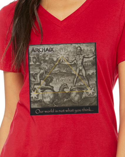 Our World Women's V-Neck T-Shirt